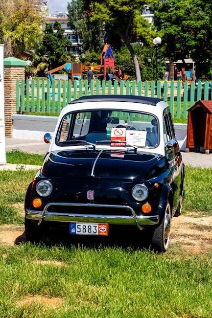 fiat 500 manual